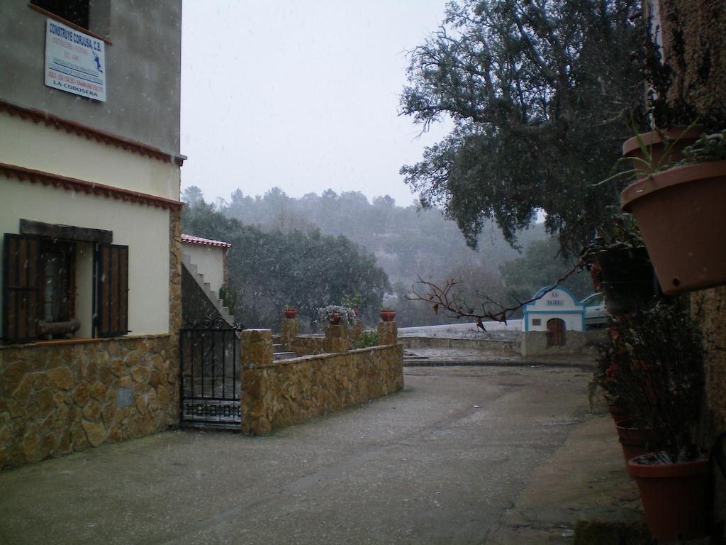 Casa Rural Sierra San Mamede La Codosera Buitenkant foto