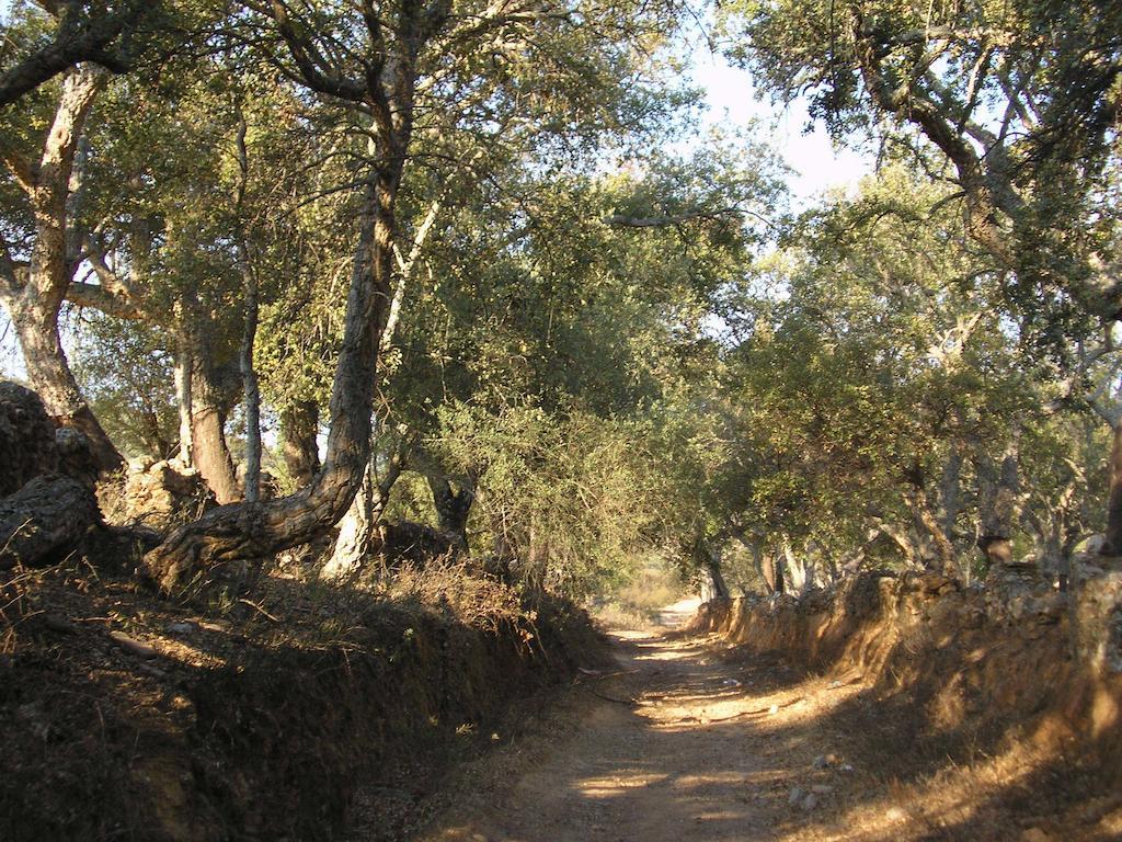 Casa Rural Sierra San Mamede La Codosera Buitenkant foto