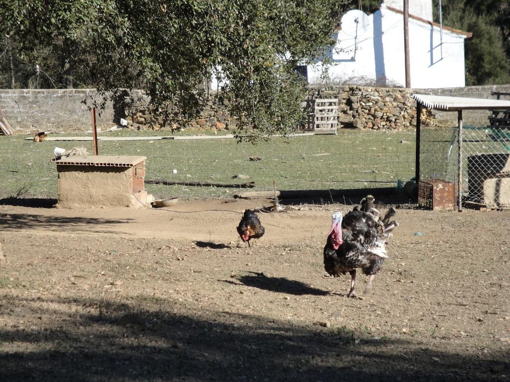 Casa Rural Sierra San Mamede La Codosera Buitenkant foto