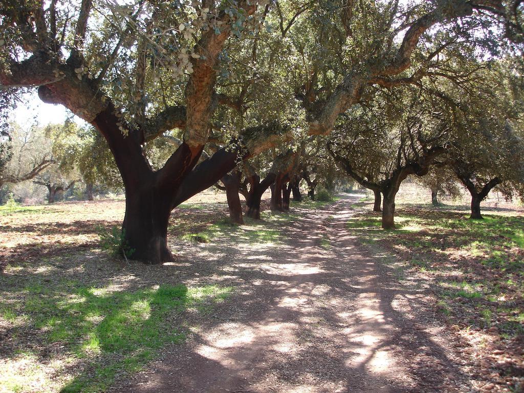 Casa Rural Sierra San Mamede La Codosera Buitenkant foto